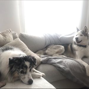 Meet your Posher, Justine